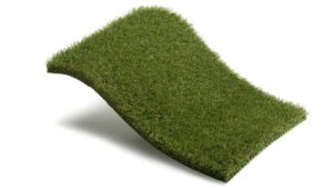 Tu césped ecológico de confianza: Royal Grass