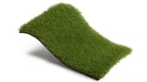 Tu césped ecológico de confianza: Royal Grass