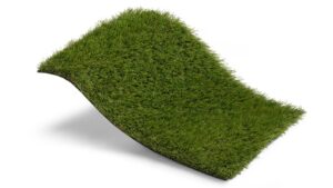 Tu césped ecológico de confianza: Royal Grass